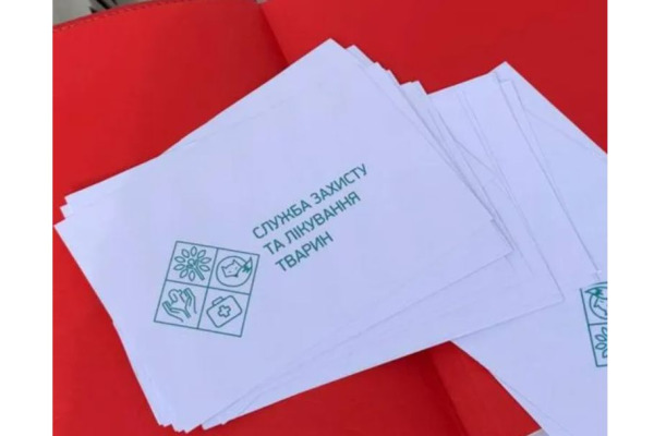 В Ірпінській громаді стерилізуватимуть безпритульних тварин