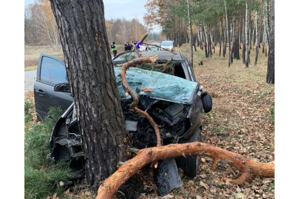 На автодорозі Лісне – Михайлівка-Рубежівка сталася смертельна аварія