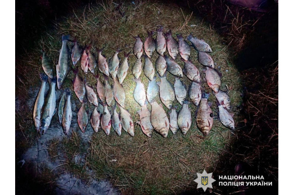 Незаконний улов риби майже на 92 тисячі гривень: поліцейські Київщини задокументували браконьєра
