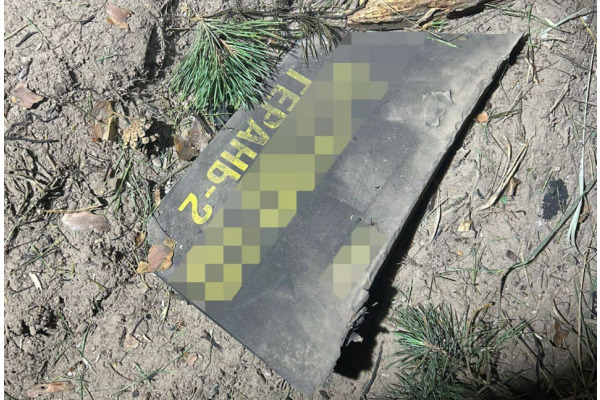 На Київщині через атаку дронів горів ліс