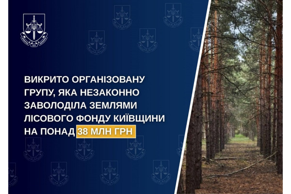 Заволоділи землями лісового фонду на Бучанщині: учасники організованої групи отримали підозру