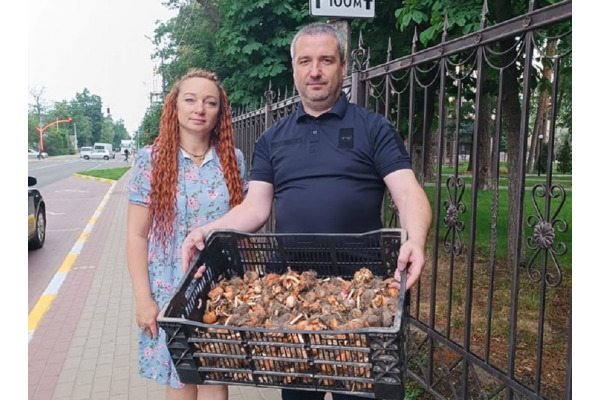 У парку Ірпеня посадять 365 цибулин різнокольорових тюльпанів