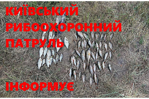 На річці Рось браконьєр завдав збитків майже на 180 тисяч гривень