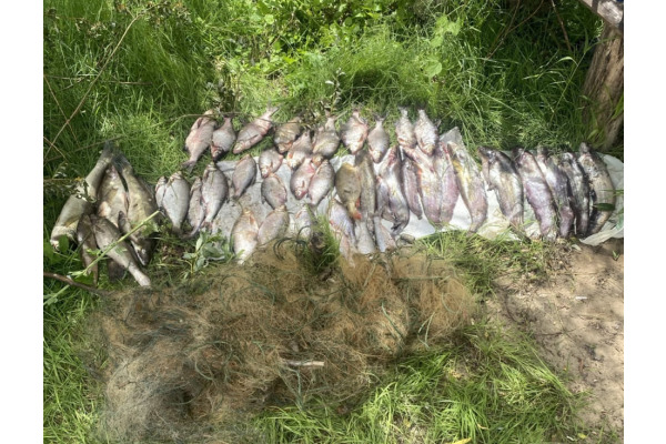 На Київщині спіймали браконьєра з уловом на понад 125 тис грн