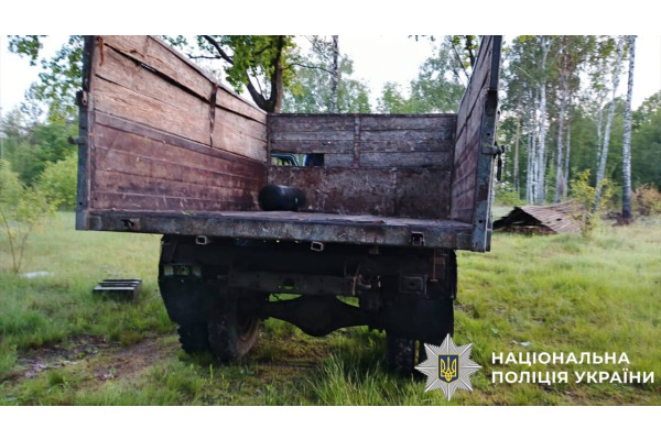 На Вишгородщині організували масштабну незаконну вирубку лісу: справу передано до суду