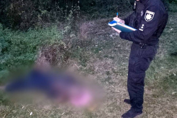 Мешканець Київщини помер від нальоту шершнів