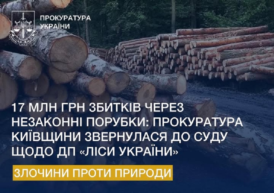 Прокуратура Київщини вимагає через суд 17 млн грн за незаконні порубки лісу