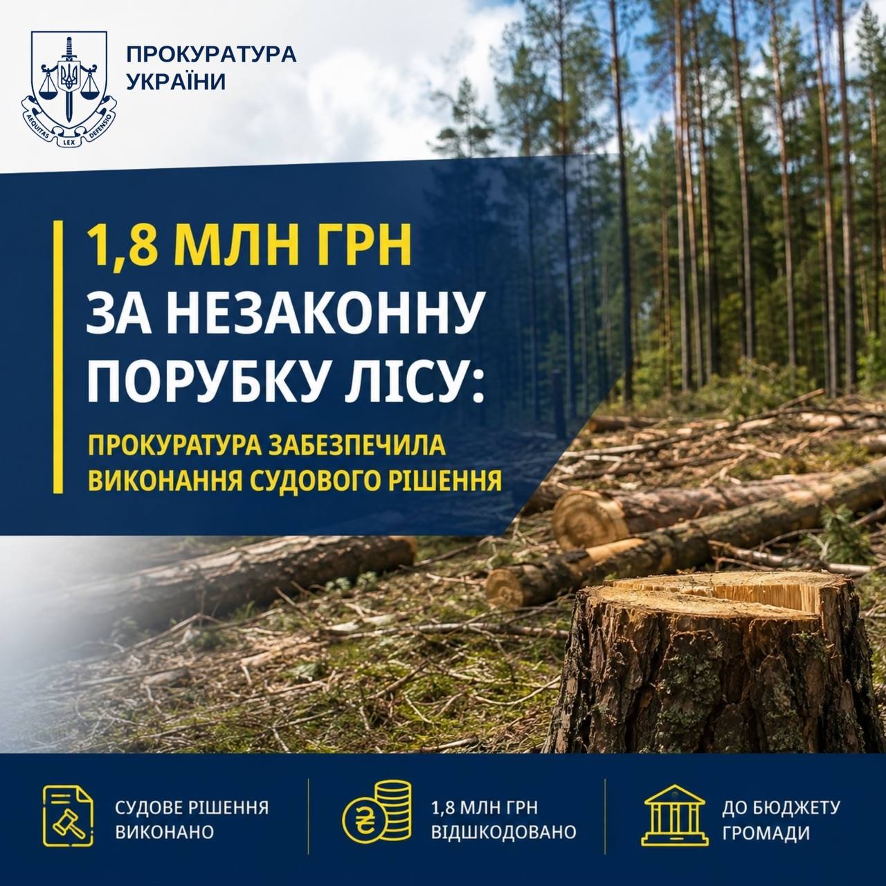 Незаконна вирубка лісу на Київщині: до бюджету Калинівської громади стягнули майже 1,8 млн грн