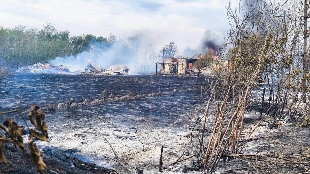 23 будинки у вогні: на Переяславщині пожежа охопила понад 200 гектарів