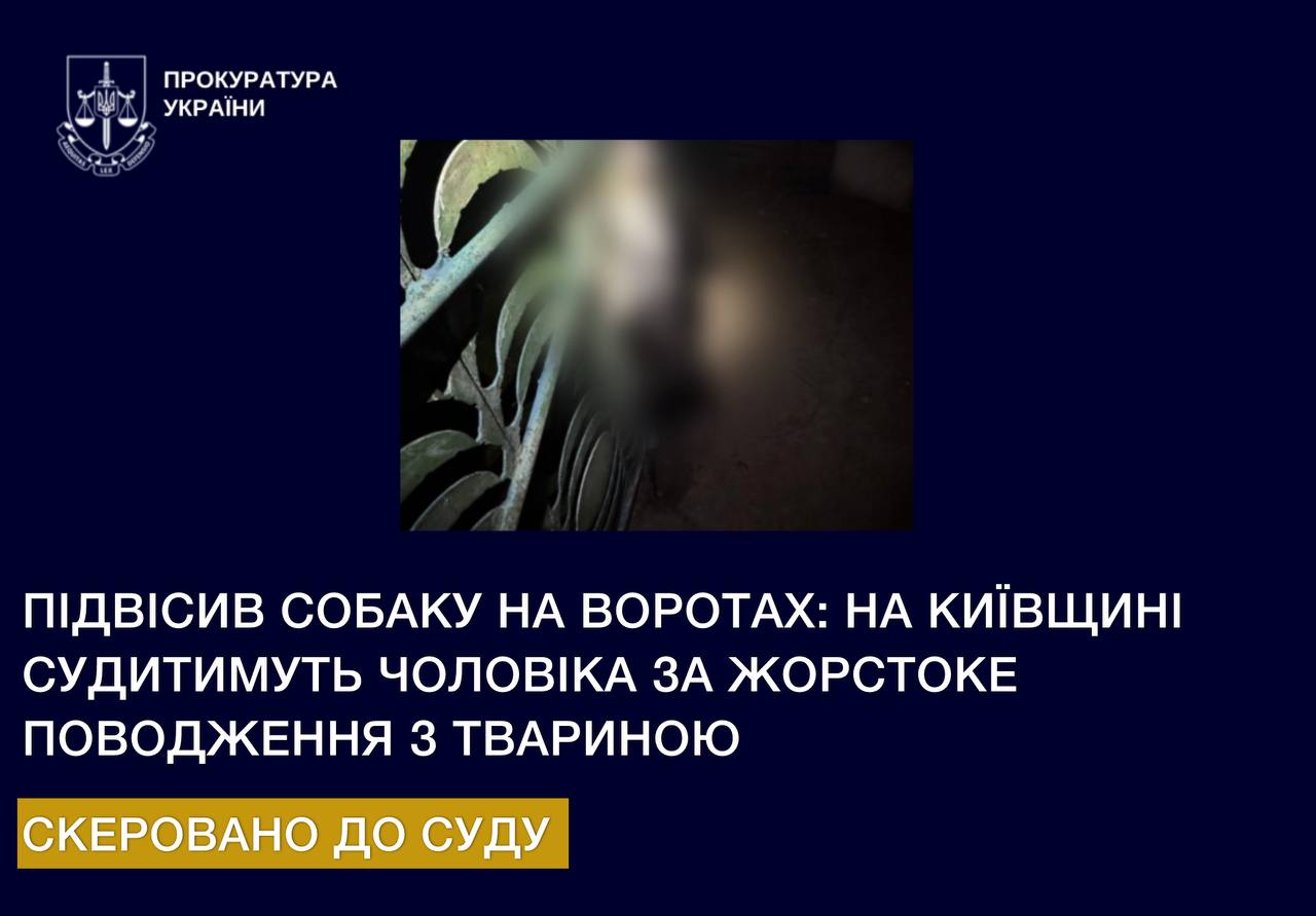 Підвісив собаку на воротах: на Київщині судитимуть чоловіка за жорстоке поводження з твариною