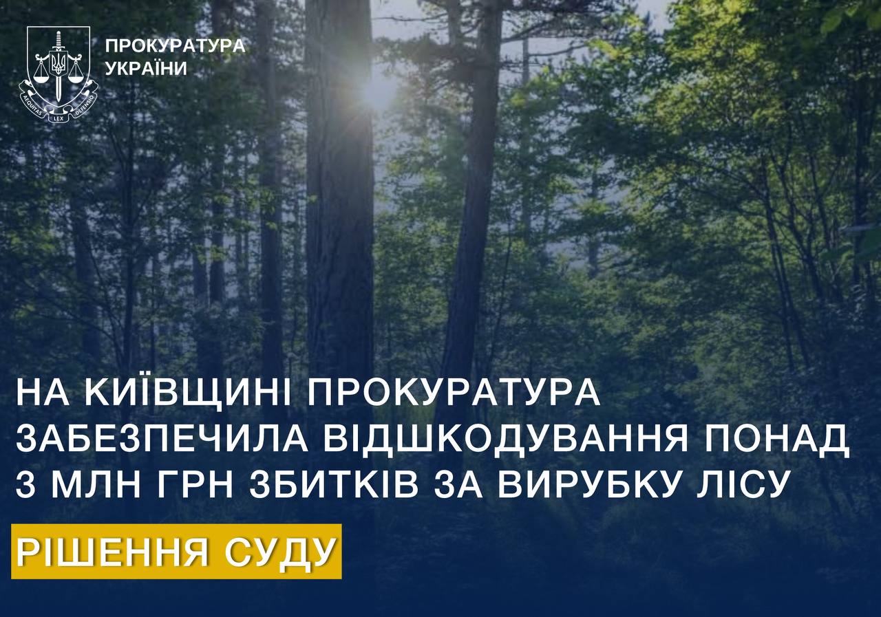 Прокуратура Київщини забезпечила відшкодування понад 3 млн грн збитків за вирубку лісу