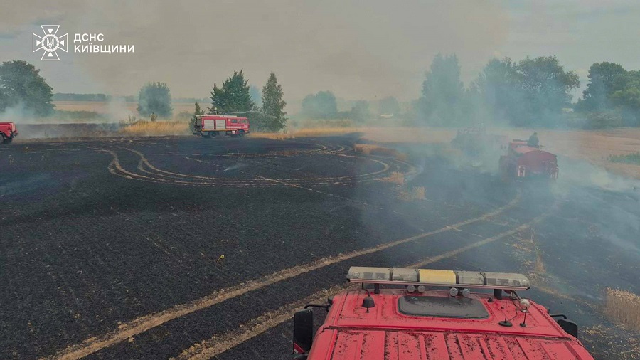 Гектар посівів пшениці знищив вогонь на Броварщині
