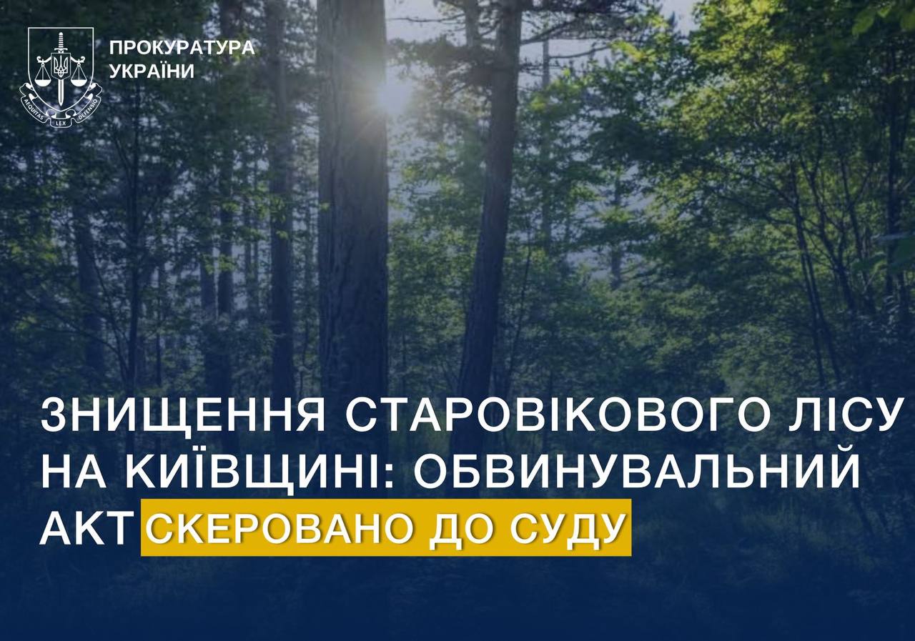 Справу про незаконну вирубку старовікового лісу на Київщині скерували до суду