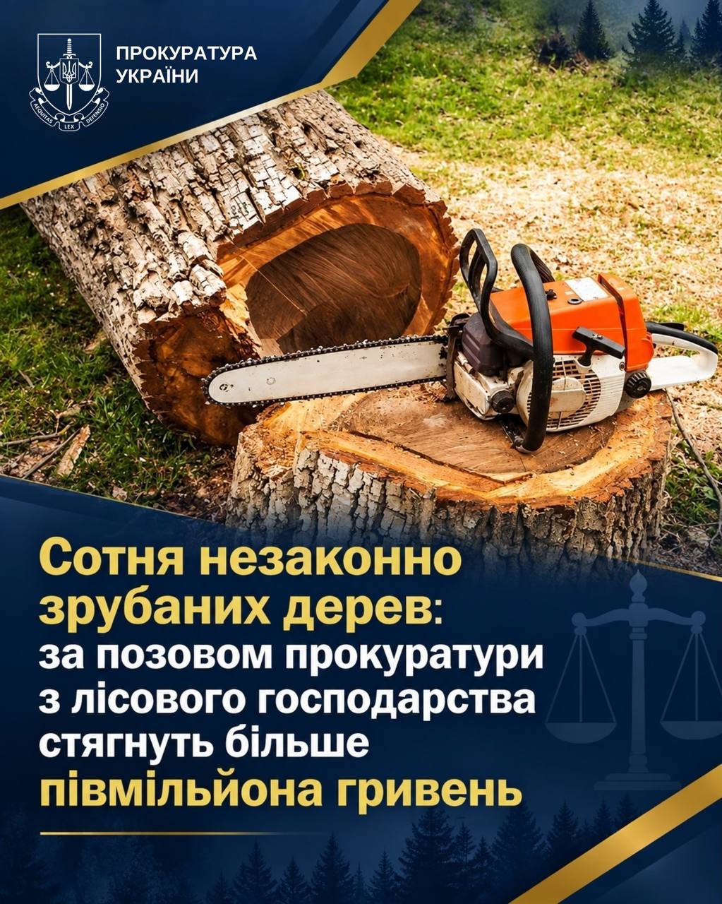 Прокуратура через суд стягне з лісгоспу понад пів мільйона гривень