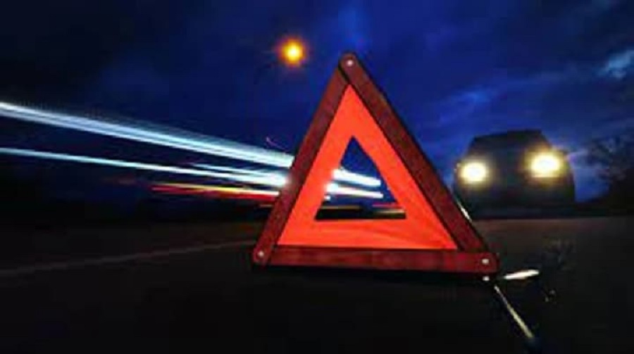 Смертельна аварія на трасі Київ–Ірпінь: Lexus врізався в лося