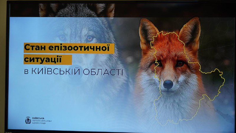 Сьогодні відбулося засідання надзвичайної протиепізоотичної комісії