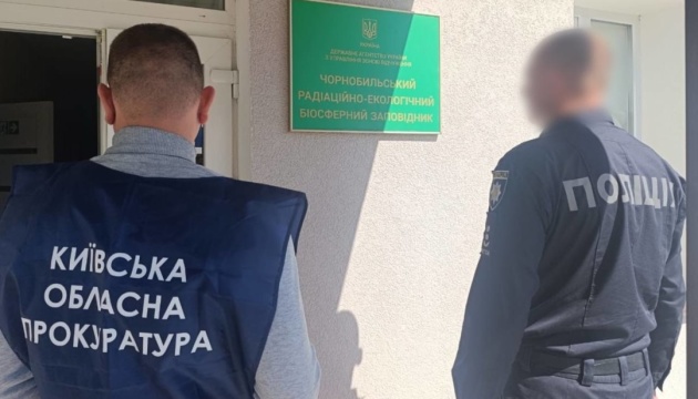 У Чорнобильській зоні незаконно вирубали дерев на понад 77 мільйонів