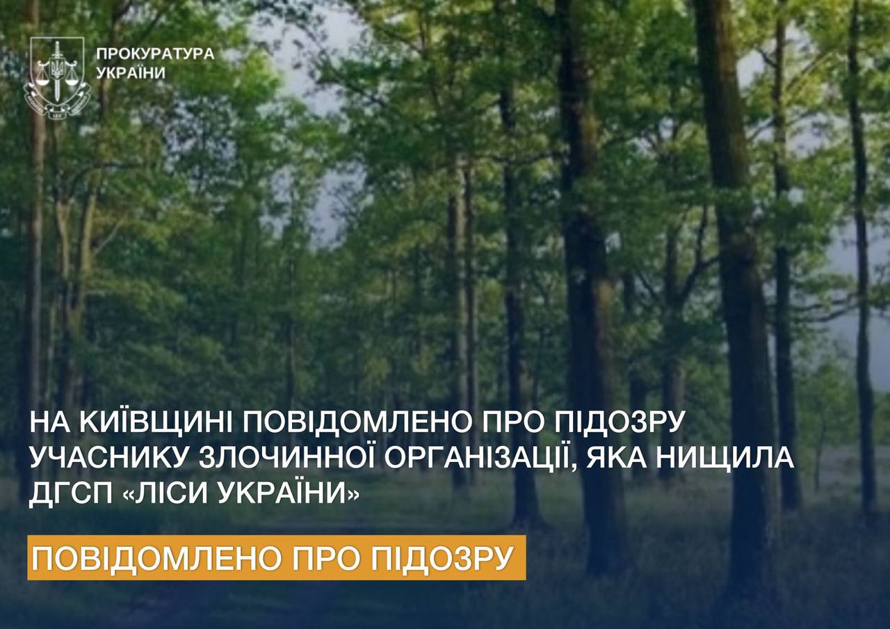 На Київщині повідомлено про підозру восьмому учаснику злочинної організації, яка два роки нищила ліси