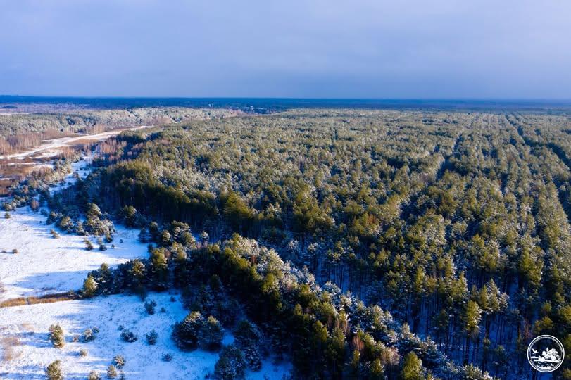 Володимир Зеленський змінив межі Чорнобильського заповідника