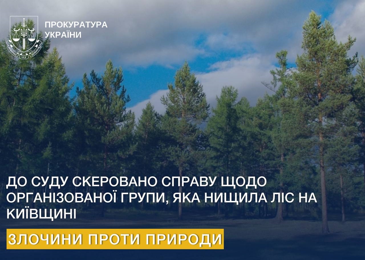 Незаконна порубка дерев: прокуратура Київщини направила до суду справу проти восьми осіб