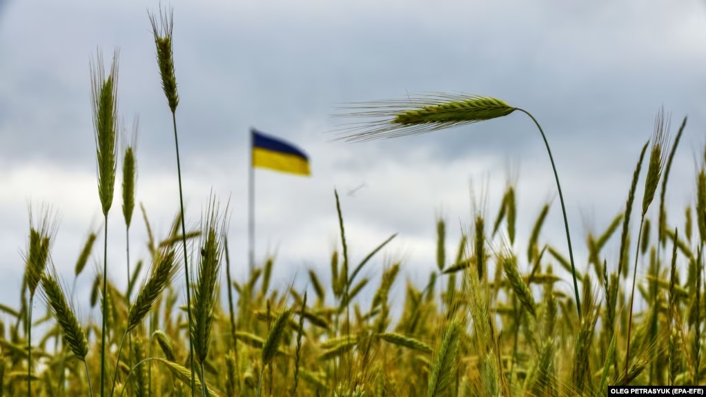 Аграрний коледж на Бучанщині отримав від митниці понад 20 тонн конфіскованих російських добрив