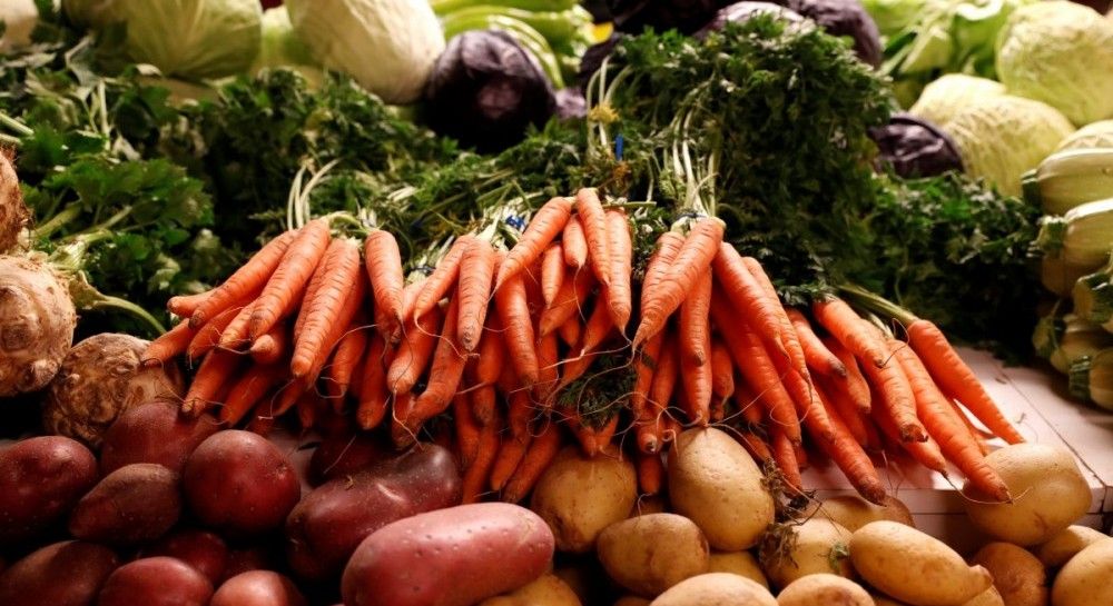 На майже 1 млн грн планують закупити продуктів харчування для шкіл у Рокитному
