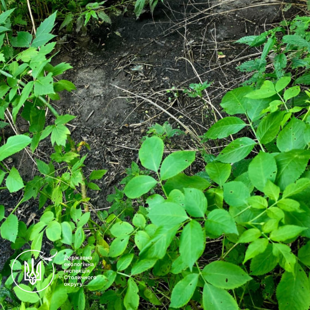 У Рогозові зафіксували повторне забруднення землі стічними водами — матеріали передадуть правоохоронцям