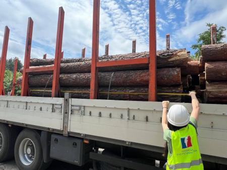 Реалізовану партію необробленої деревини оглянули на Київщині