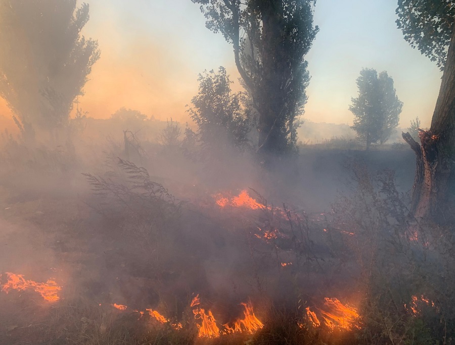 Статистика підпалів: за вихідні на Київщині сталося 80 пожеж в екосистемах