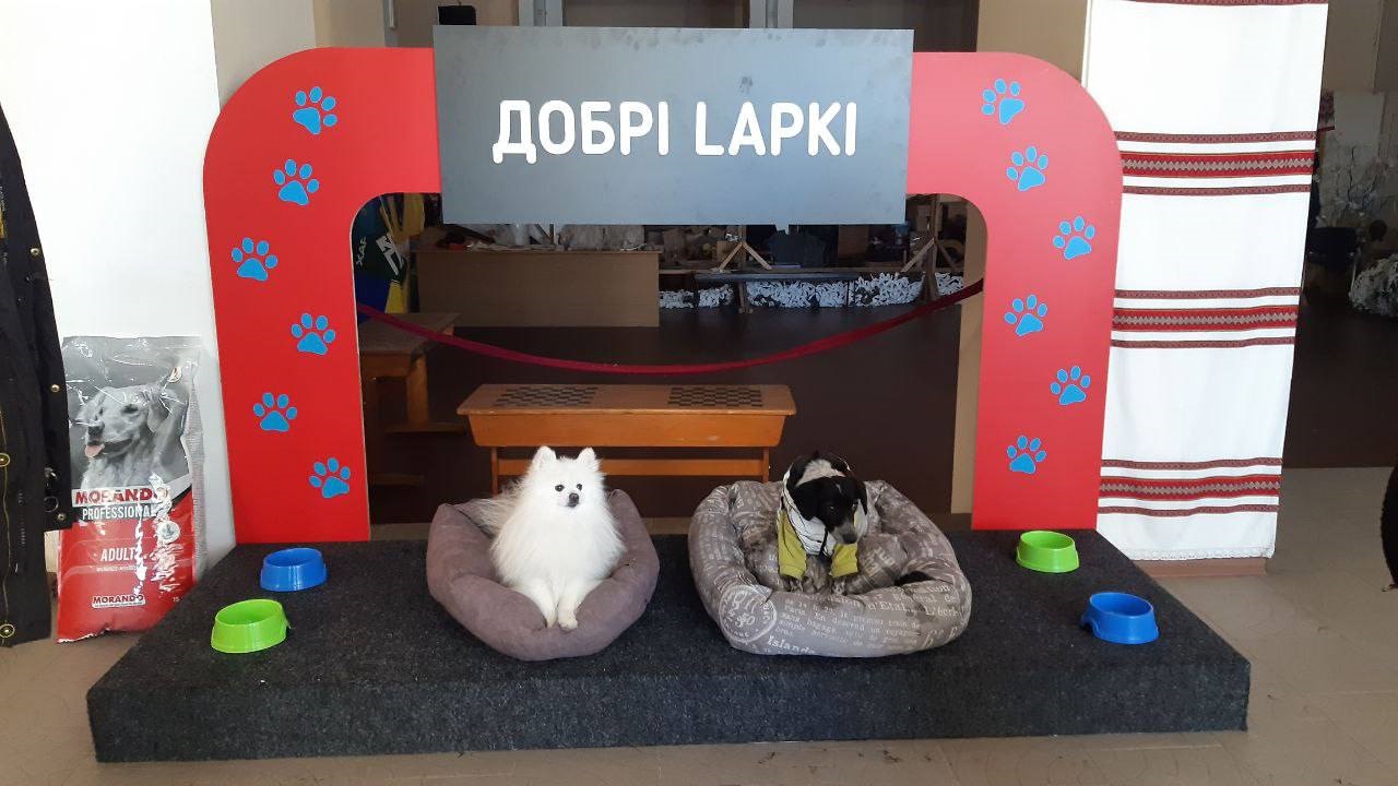 У Ржищеві в Пункті незламності облаштували простір для домашніх тварин