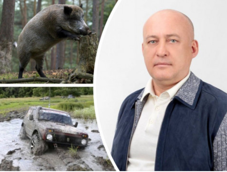 Впливовий депутат Київської облради за безцінь викупив величезний лісовий масив