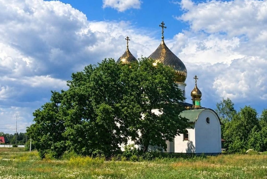У Вищій Дубечні на Вишгородщині релігійна громада УПЦ МП проголосувала за перехід до ПЦУ