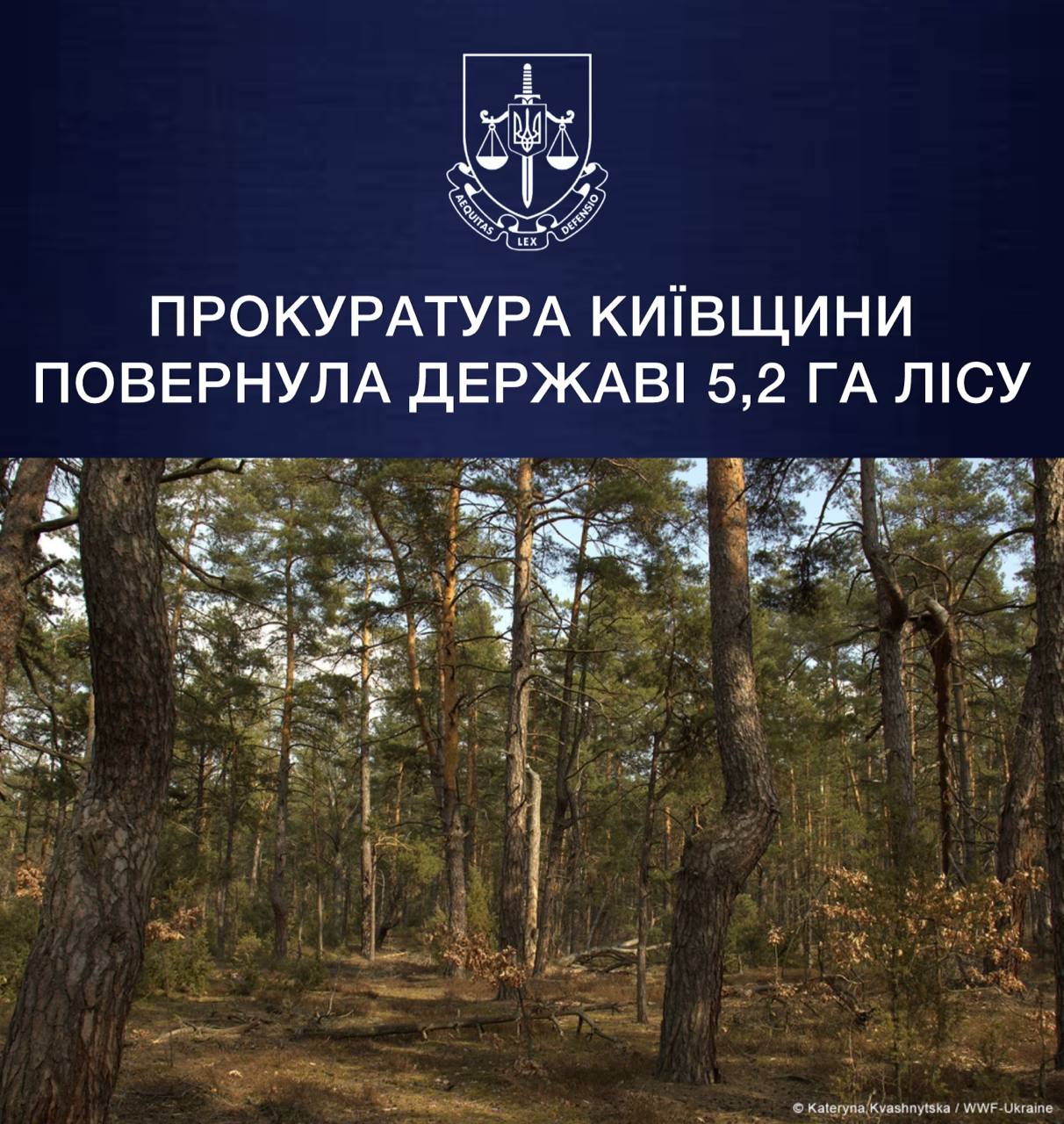Прокуратура Київщини повернула державі 5,2 га лісу