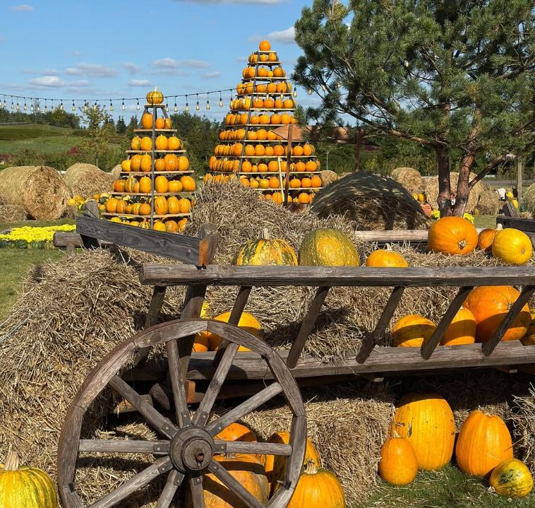 Осінь у гарбузах: у парку Київщини з’явилася нова фотолокація