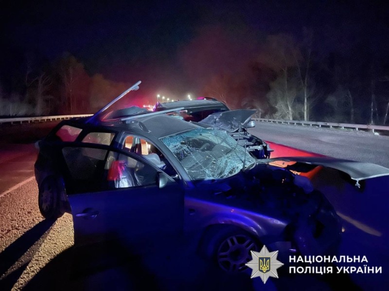 На Фастівщині внаслідок аварії загинув 83-річний водій
