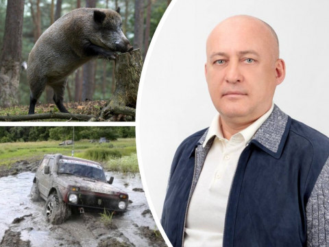 Купити за копійки: як найбагатший депутат Глиняний став крупним лісовим магнатом Київщини