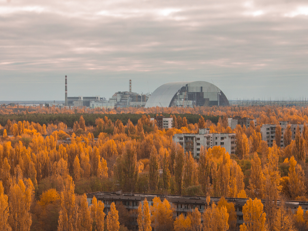 Чорнобильська зона стала найбільшою у світі лабораторією просто неба (ФОТО)