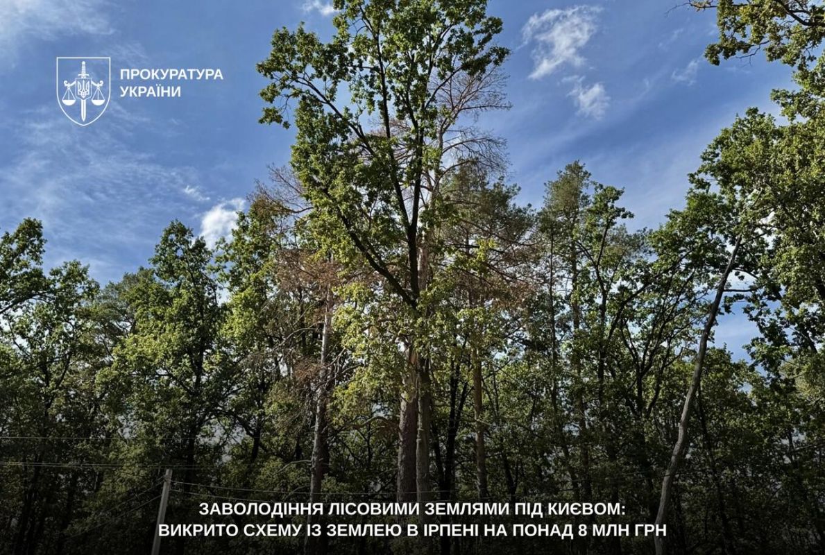 Понад 8 млн грн збитків: правоохоронці викрили схему заволодіння лісовими землями в Ірпені