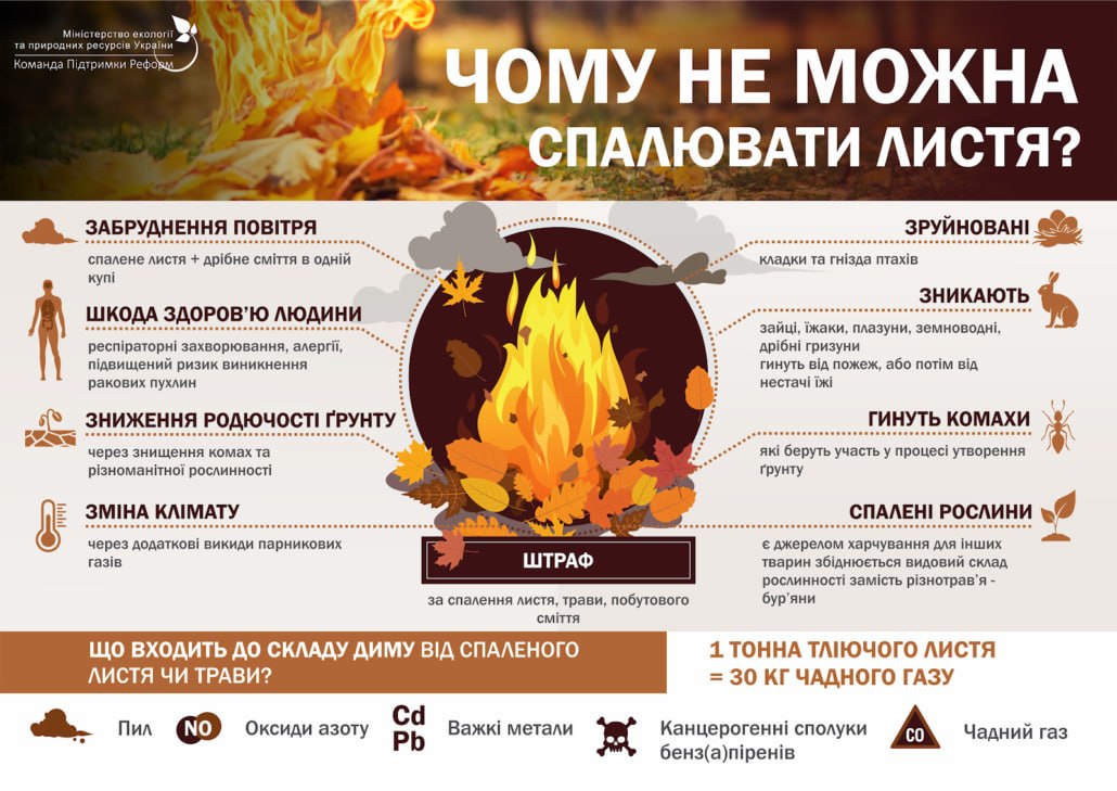 Жителів Київщини закликають не спалювати сухе листя та траву під час осіннього прибирання