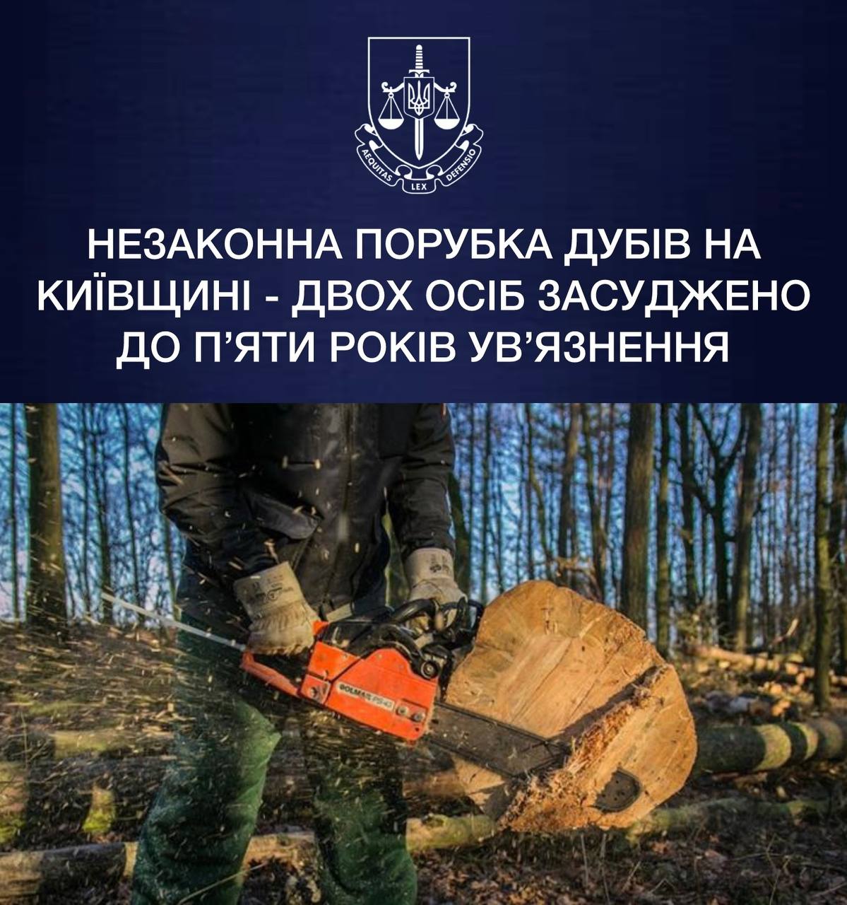 На Київщині батька і сина засудили за незаконну вирубку дубів