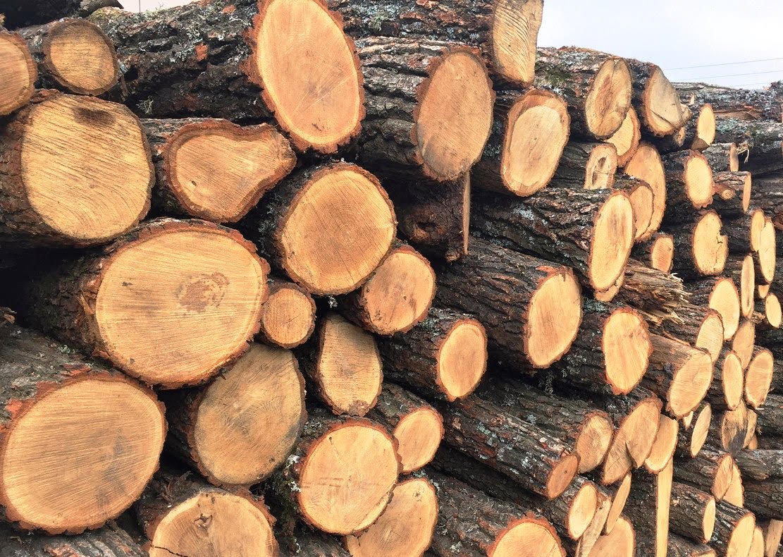 Для пожежників Білої Церкви за 998 тис гривень куплять дрова для опалення