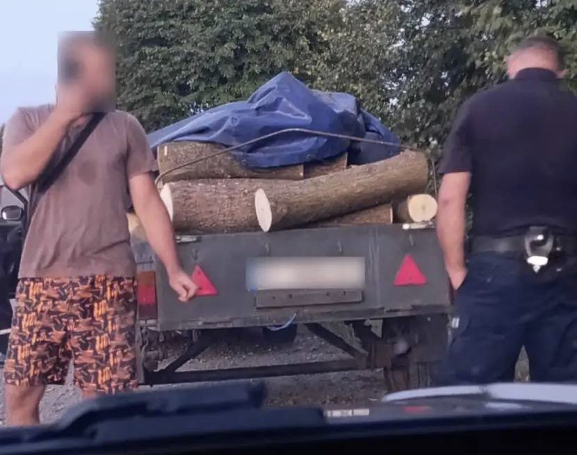 У Броварському районі спіймали чоловіка, який незаконно перевозив деревину