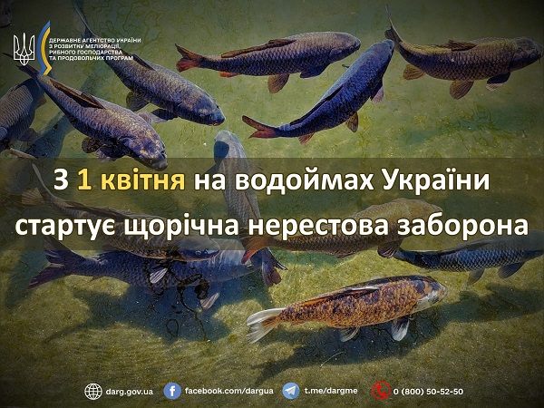 Стартує сезон тиші для риби: в Україні з 1 квітня вводять заборону