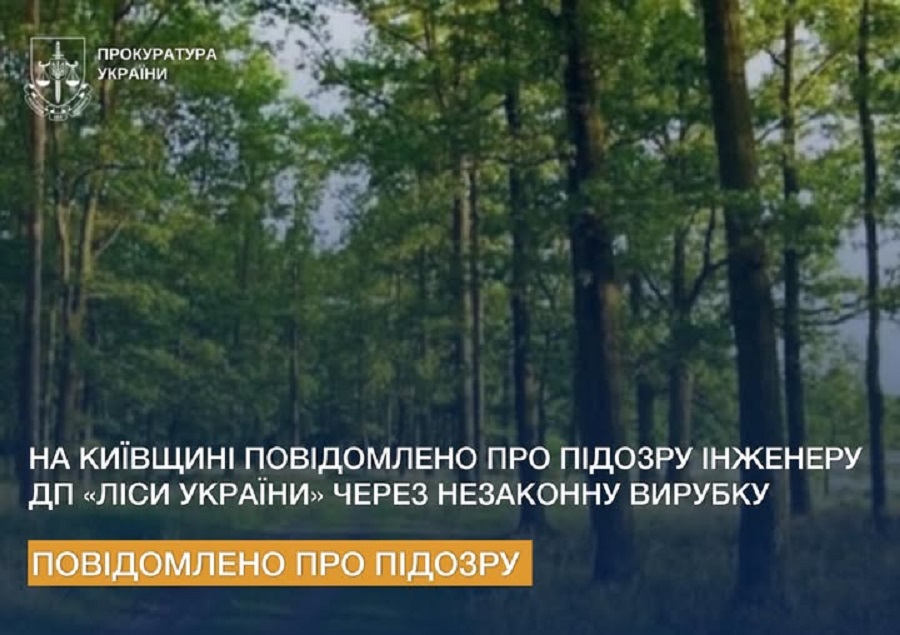 На Київщині інженера держпідприємства «Ліси України» підозрюють у незаконній рубці дерев