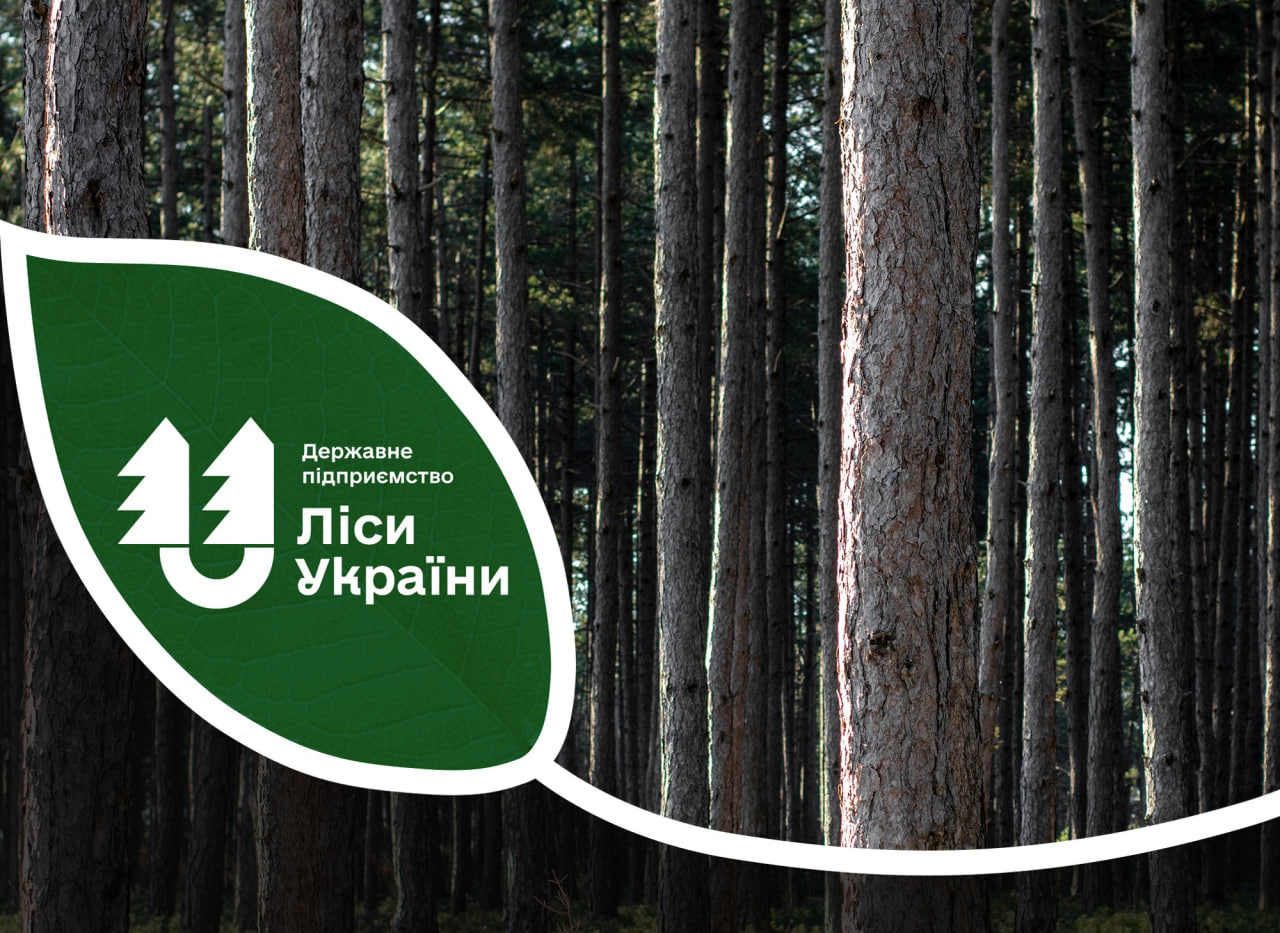 На Київщині та Житомирщині вже 12 надлісництв отримали FSC-сертифікати