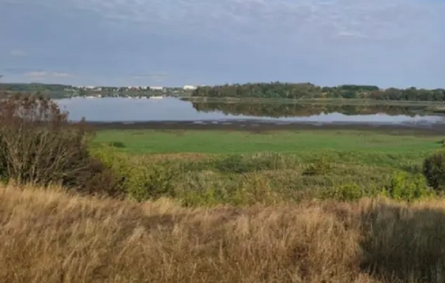 На Київщині озеро Великий Супій стрімко міліє: місцева влада закликає рятувати водойму