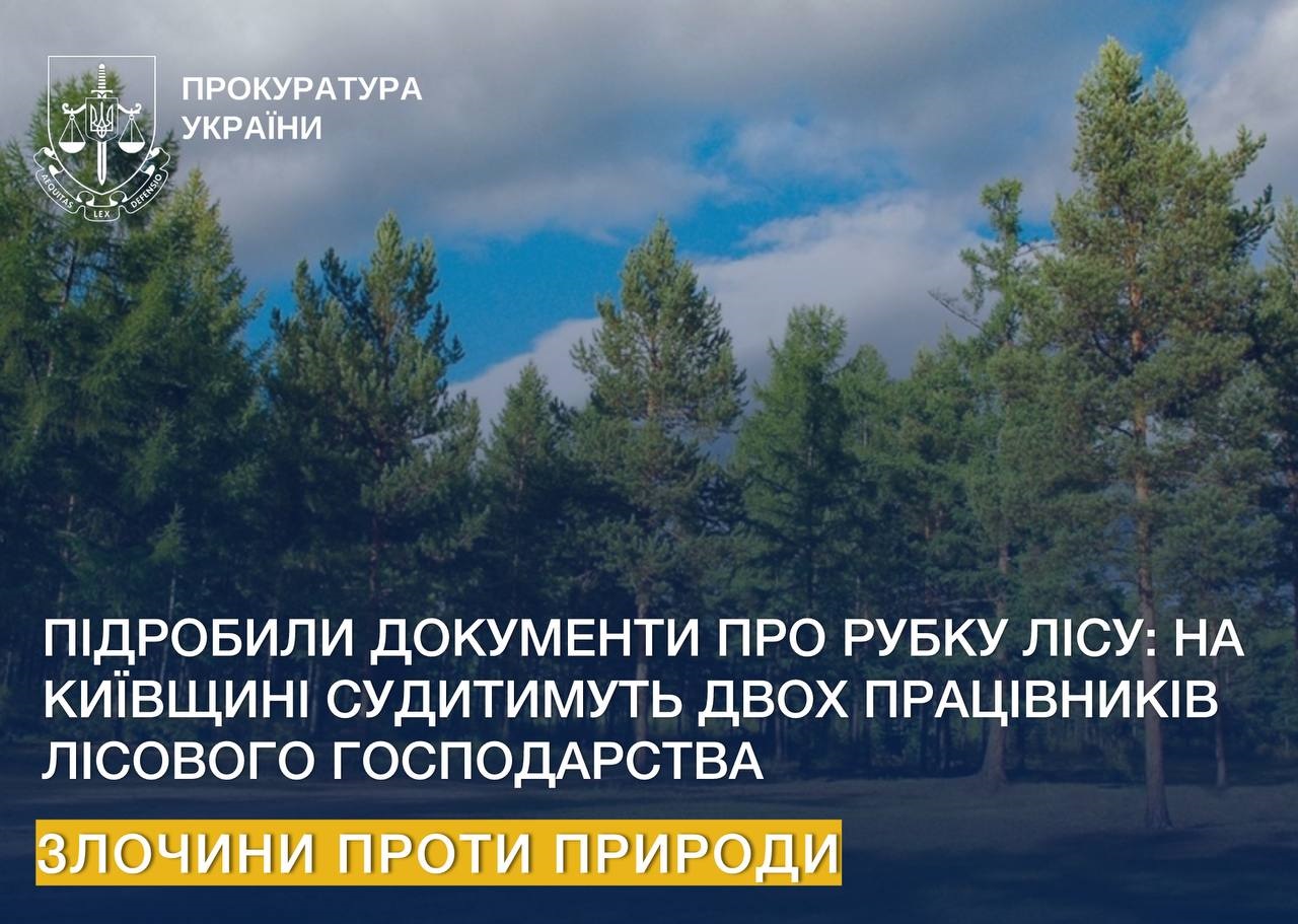На Київщині судитимуть двох працівників лісового господарства за підробку документів