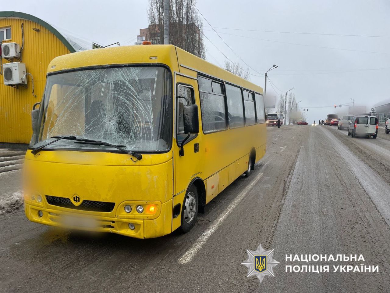 Загинув пішохід: поліцейські Київщини розслідують обставини смертельної аварії