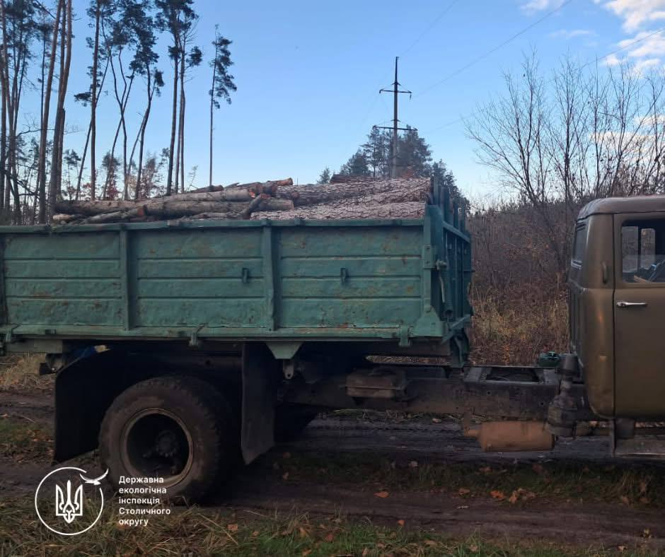 На Білоцерківщині виявили ще один факт незаконної вирубки та перевезення лісу