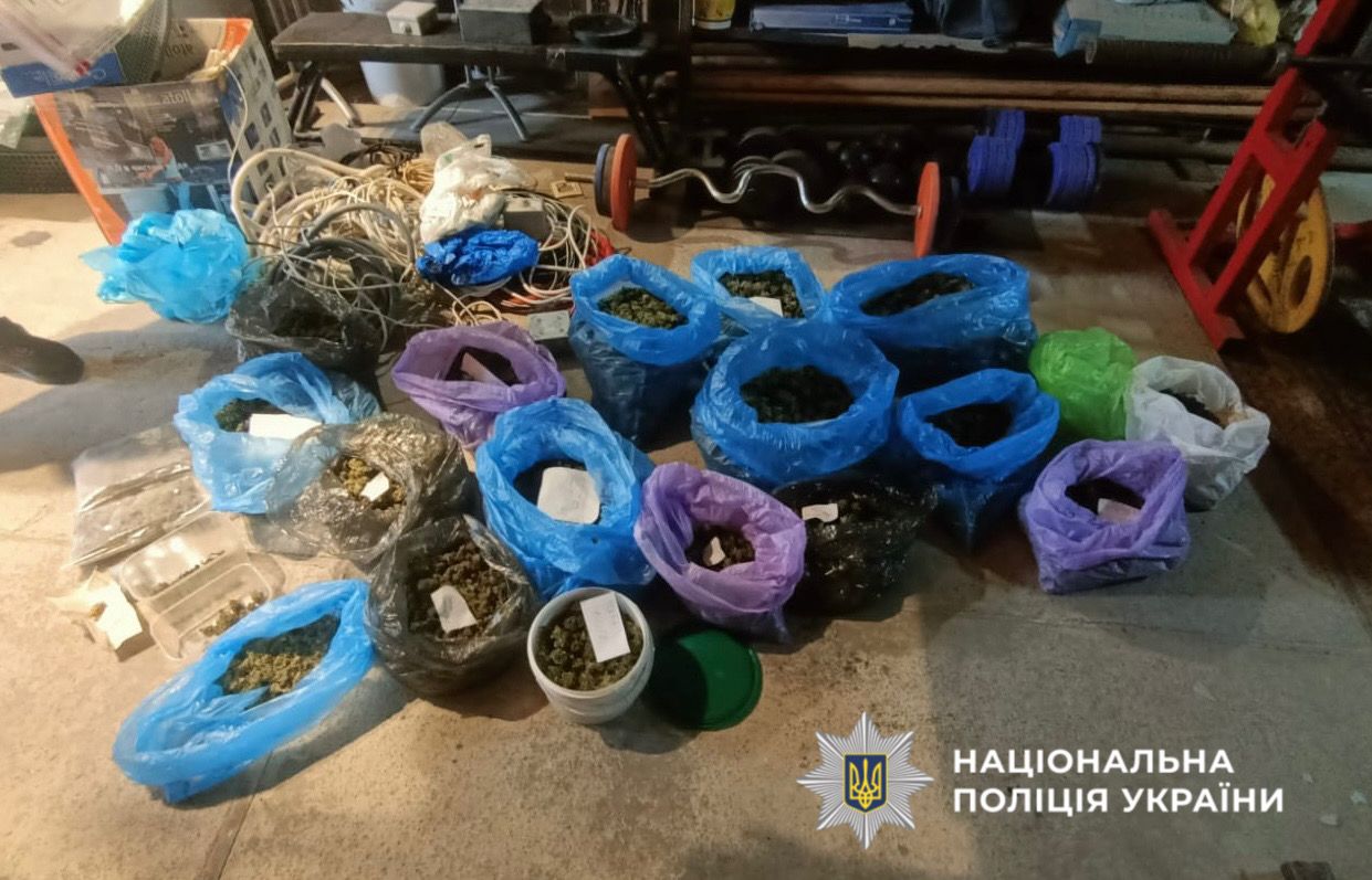 Замовив насіння онлайн і вирощував у лісі: на Обухівщині викрили наркоділка